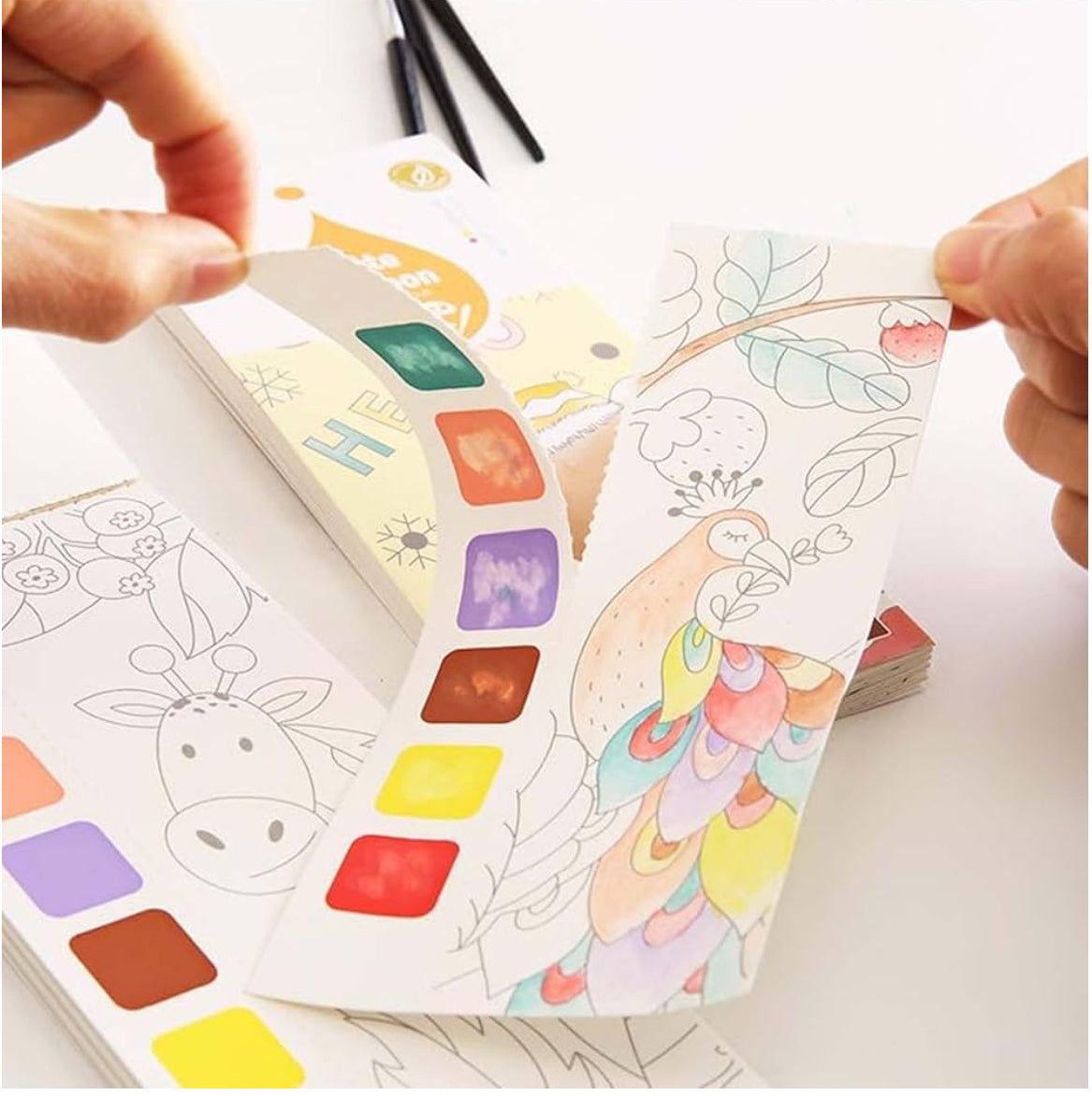 Watercolor Paint Books - Garden